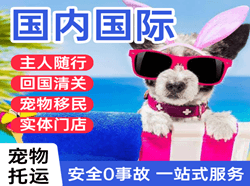 漠河航空快运国际宠物托运 【国